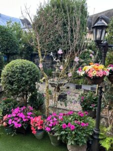 Old Thatch Fairy Garden